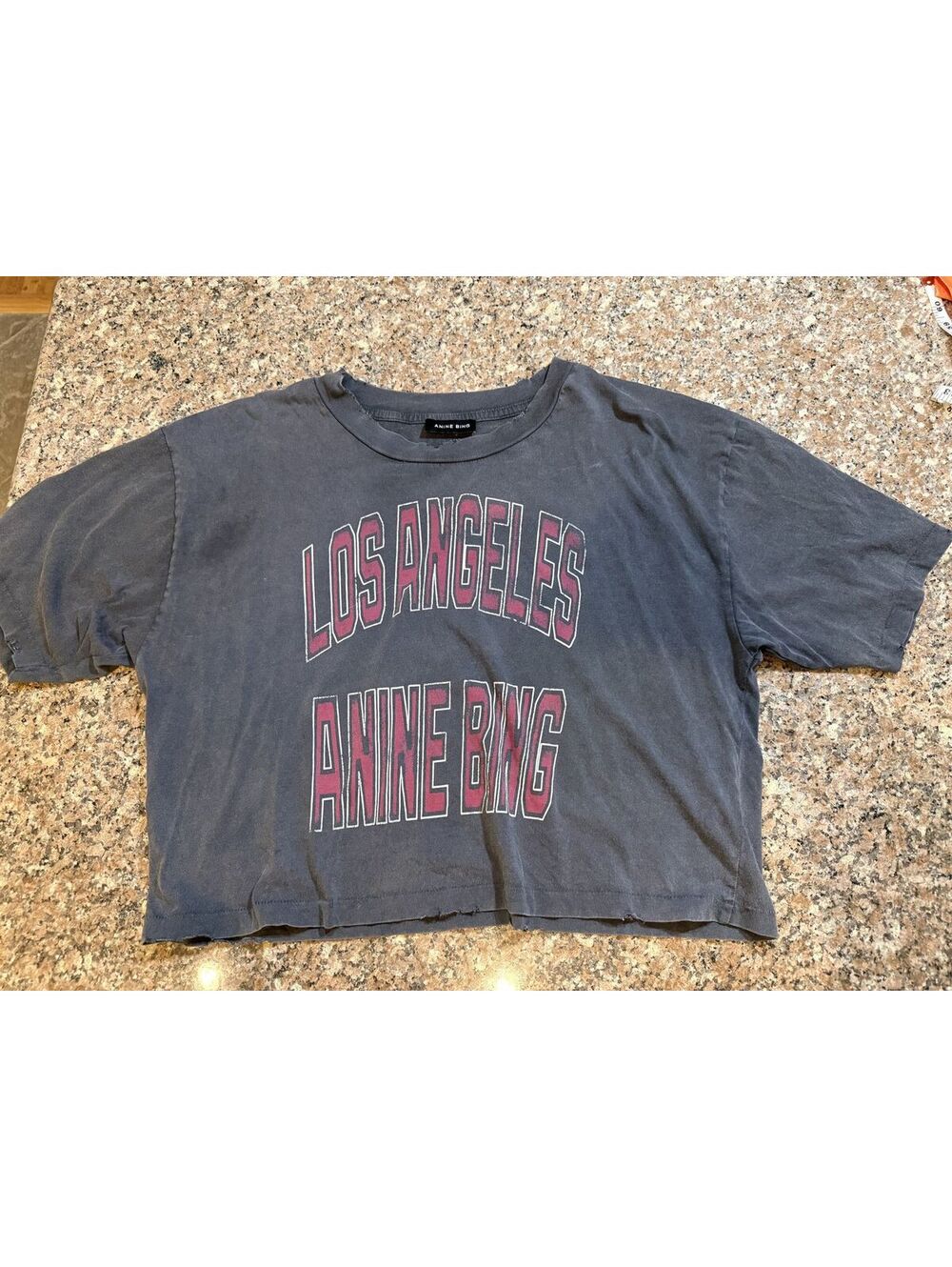 Anine Bing Los Angeles Johnny Crop T-Shirt XS